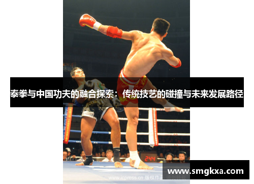 泰拳与中国功夫的融合探索：传统技艺的碰撞与未来发展路径
